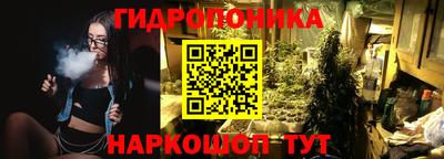 ГАЛЛЮЦИНОГЕННЫЕ ГРИБЫ Гусь-Хрустальный