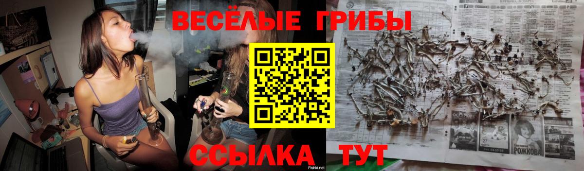 Псилоцибиновые грибы Magic Shrooms  где можно купить   Югорск  Вход с VPN 